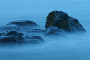 Image showing Blue Mist