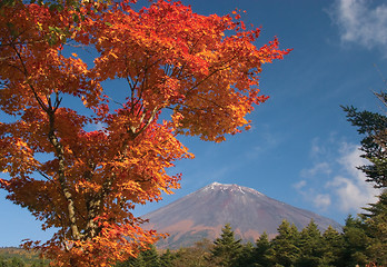 Image showing Mount Fuji in Fall