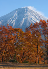 Image showing Mount Fuji in Fall