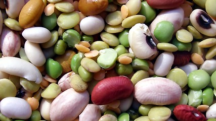 Image showing Beans