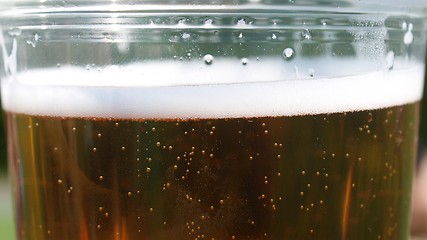 Image showing Pint of beer