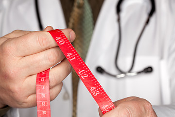 Image showing Doctor with Stethoscope Holding Measuring Tape