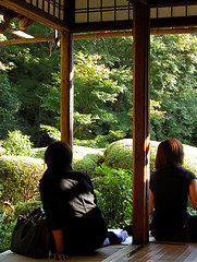 Image showing Admiring The Garden