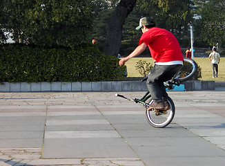 Image showing BMX Show