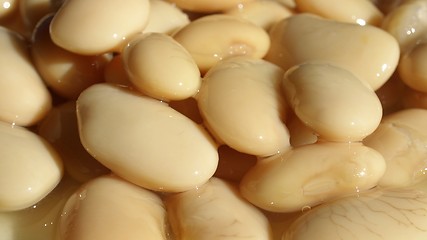 Image showing Beans