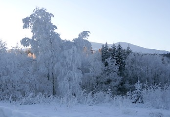 Image showing Frosty landscape