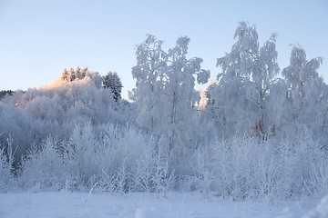 Image showing Winter landscape