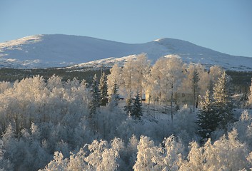 Image showing Winter landscape