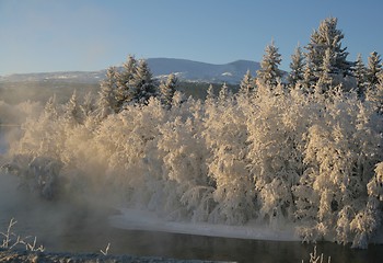 Image showing Frosty river