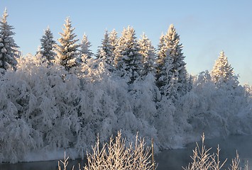 Image showing Frosty river