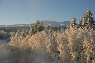 Image showing Frosty river