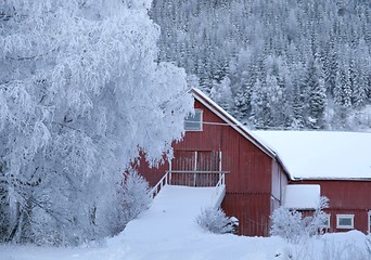 Image showing Red barn in winter