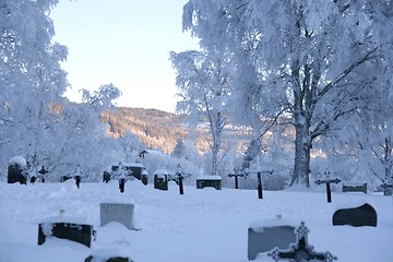 Image showing Cemetery in winter