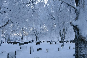 Image showing Cemetery in winter