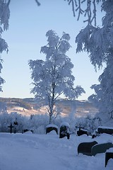 Image showing Cemetery in winter