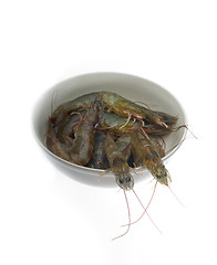 Image showing raw fresh shrimps