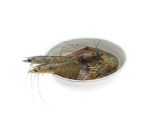 Image showing raw fresh shrimps