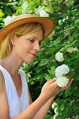 Image showing Young woman gardening - taking care of snowball