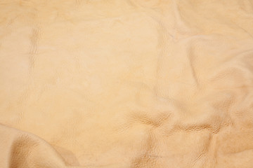 Image showing Tanned Buckskin