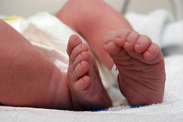 Image showing New born baby feet