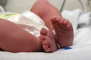 Image showing New born baby feet