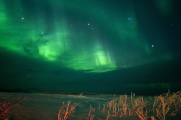 Image showing Active aurora through clouds with blurred foregroud