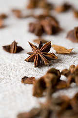 Image showing Aromatic star-aniseed