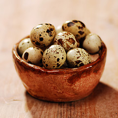 Image showing quail eggs in a basket