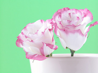 Image showing eustoma