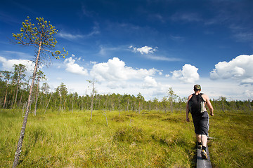 Image showing hiking at ruunaa, finland