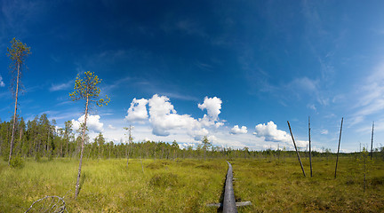 Image showing hiking trail