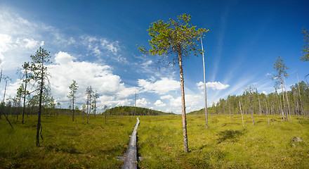 Image showing hiking trail