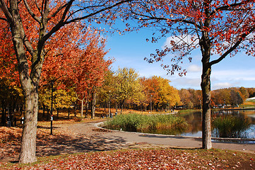 Image showing Beautiful fall park few.