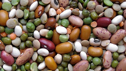 Image showing Beans