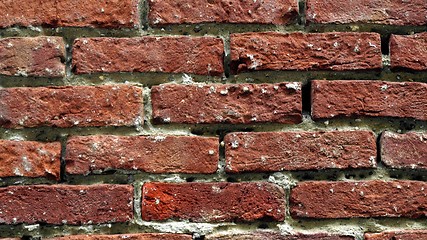 Image showing Brick wall