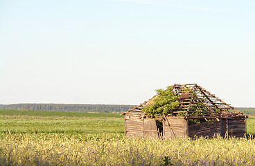 Image showing  old house