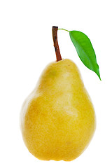 Image showing Golden pear