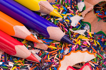 Image showing Multicolor pencils and shavings