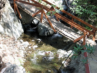 Image showing Bridge in nature. Platres. Cyprus