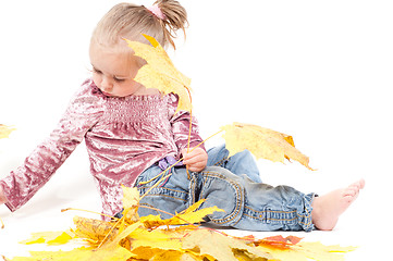 Image showing Toddler with maple leaves