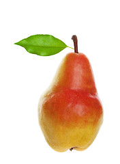 Image showing Beautiful Fresh Pear