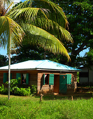 Image showing native house in jungle corn island nicaragua
