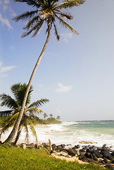 Image showing desolate beach corn island nicaragua