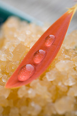 Image showing Bath salt and water droplets