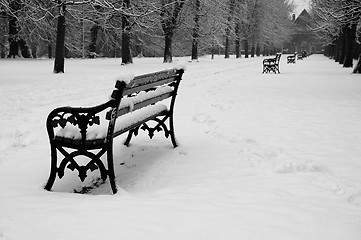 Image showing bench in park