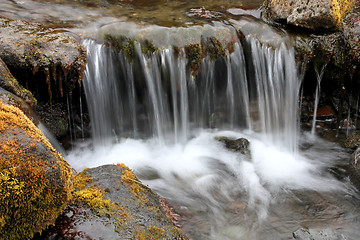 Image showing Small brook