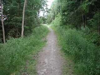 Image showing narrow path