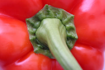 Image showing Red bell pepper