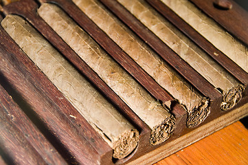 Image showing cigars fresh in a rack