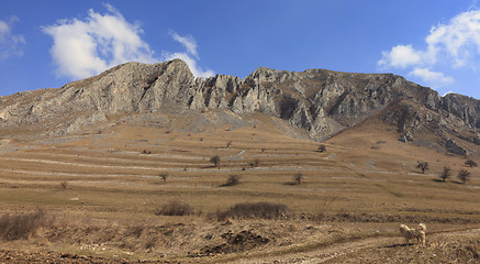 Image showing Mountains majesty